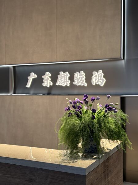 中国 FOSHAN QIJUNHONG PLASTIC PRODUCTS MANUFACTORY CO.,LTD 会社概要